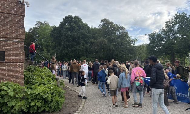 50 jaar Avondvierdaagse: een traditie voor Maarssen
