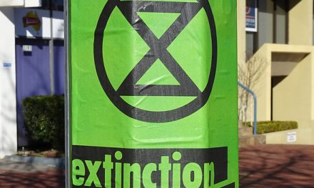Extinction Rebellion niet gefinancierd door de overheid