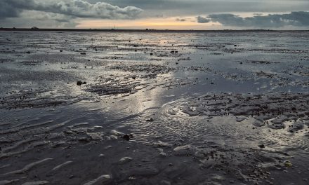 Waddenzee verliest wellicht plek op UNESCO Werelderfgoedlijst