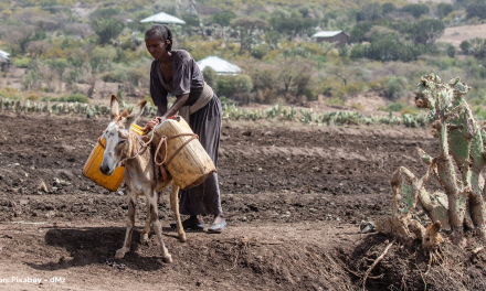 Voedsel- en watertekorten door droogte Ethiopië