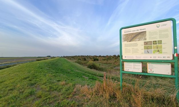 Crisis voor de weidevogel