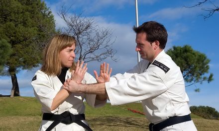 Kempo: de krijgskunst die steeds meer aandacht trekt