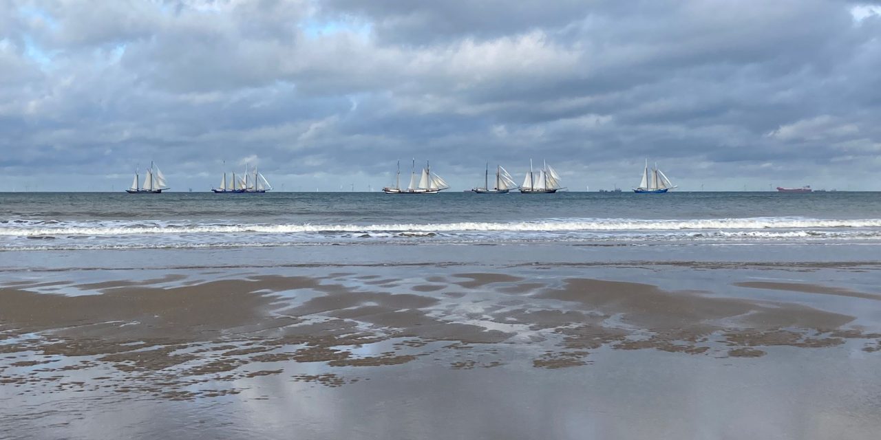 Rijkswaterstaat onder vuur vanwege natuurbeschermingswet Noordzee