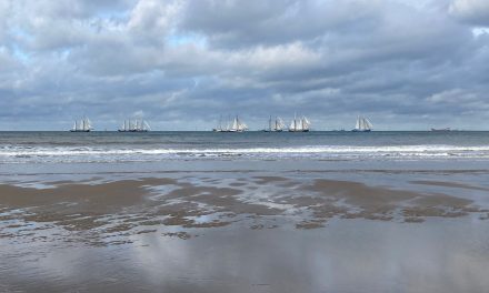 Rijkswaterstaat onder vuur vanwege natuurbeschermingswet Noordzee