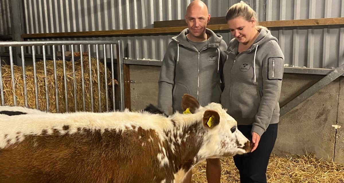 Dieren als therapeuten, dieren dragen bij aan de mentale gezondheid