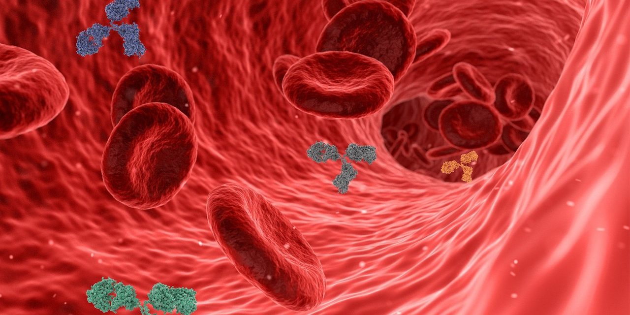 Factcheck: een hoog cholesterol is goed voor je