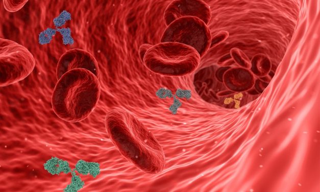 Factcheck: een hoog cholesterol is goed voor je