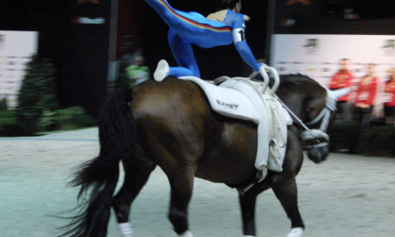 Voltige: een mix van paardensport en acrobatiek/turnen