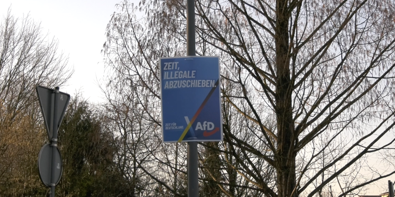 Populariteit van de afD rondom de verkiezingen