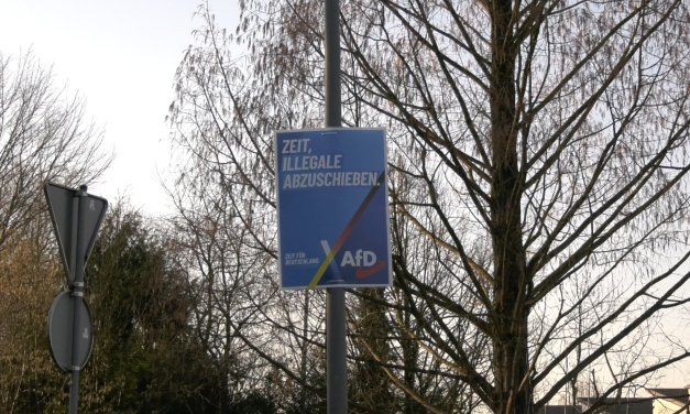 Populariteit van de afD rondom de verkiezingen