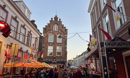 Carnaval 2025: gezellig, maar enorm druk