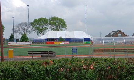Oranjegevoel in eigen dorp: wat dorpsfeesten zoals in Westbroek zo bijzonder maakt