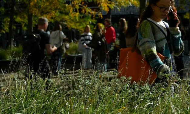 De Week tegen Pesten 2025 versterkt teamgevoel in de klas