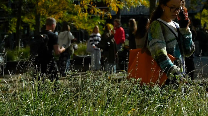 De Week tegen Pesten 2025 versterkt teamgevoel in de klas