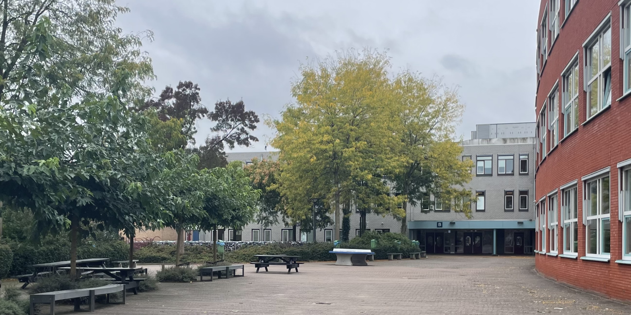 PGP breekt door: praktijkgericht vak nu voor alle havo-scholen