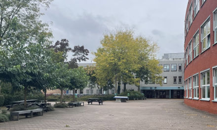 PGP breekt door: praktijkgericht vak nu voor alle havo-scholen