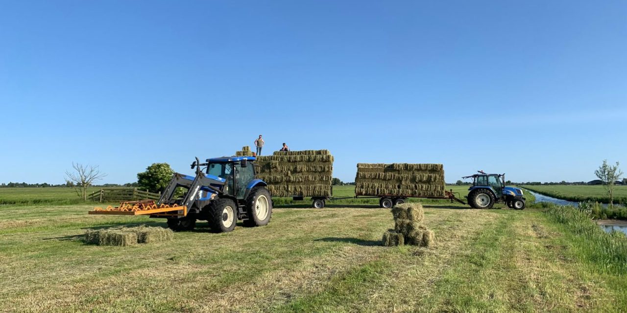 Aantal jonge boeren groeit opvallend: ruimte voor hun stem in de sector