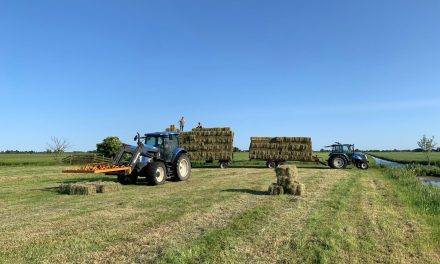Aantal jonge boeren groeit opvallend: ruimte voor hun stem in de sector