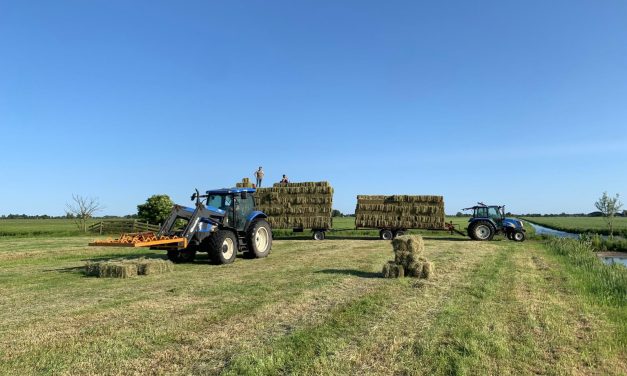 Aantal jonge boeren groeit opvallend: ruimte voor hun stem in de sector