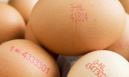 Eiwitoverschot leidt niet tot proteïnevergiftiging, behalve bij extreem dieet