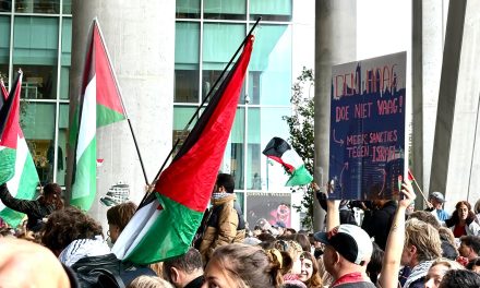 Heeft Nederland een verplichting om actie te ondernemen voor activisten op de Freedom Flotilla?