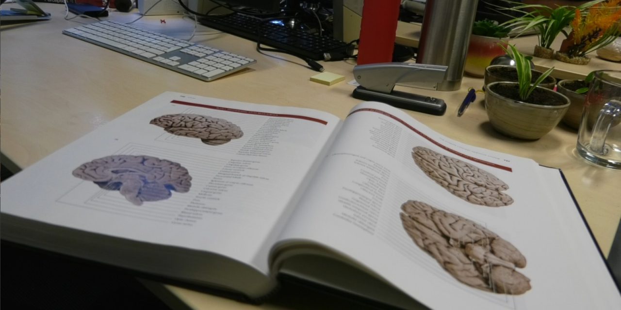 Een kwart van de docenten die AI gebruiken, doet dat voor nakijkwerk