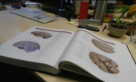 Een kwart van de docenten die AI gebruiken, doet dat voor nakijkwerk