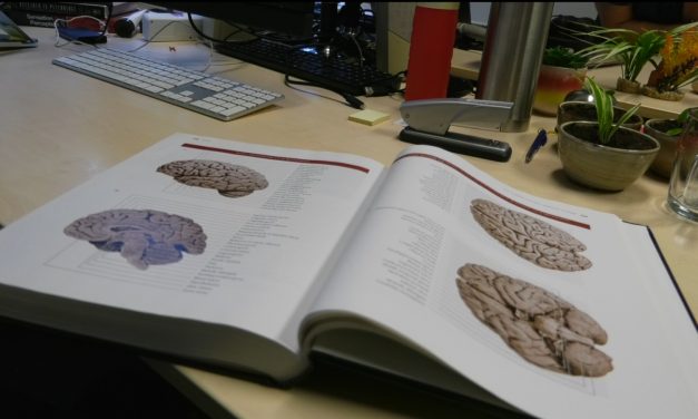 Een kwart van de docenten die AI gebruiken, doet dat voor nakijkwerk