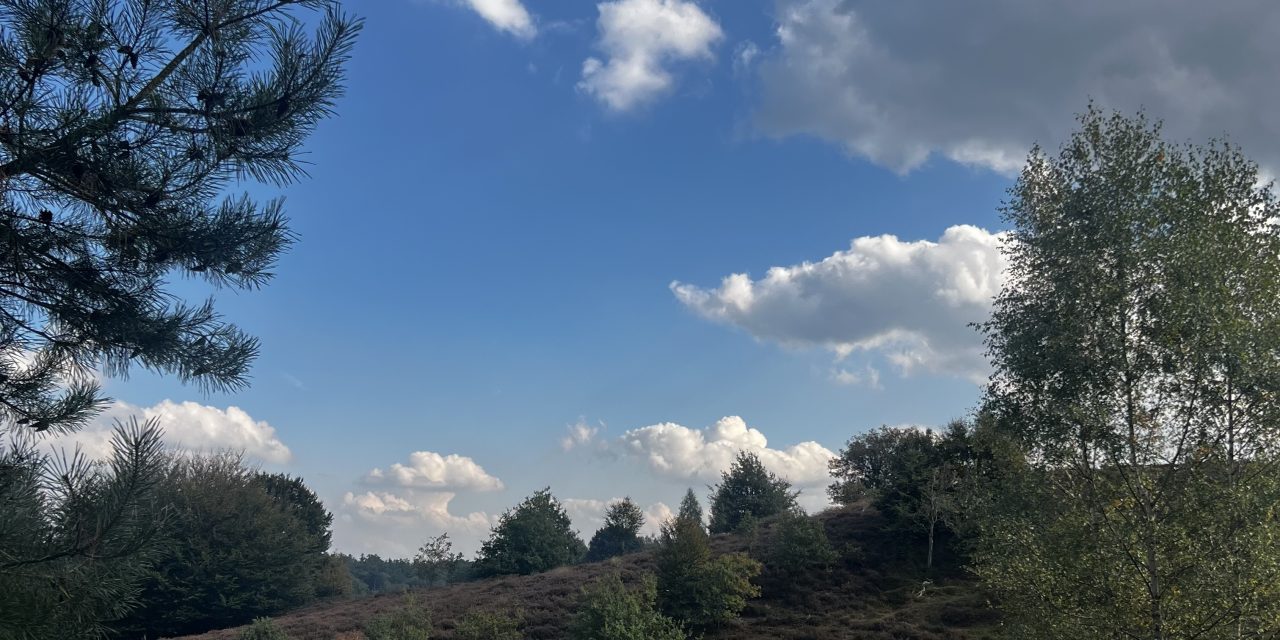 Om te weten hoe de natuur en het klimaat is zoals het is, moet je leren van de geschiedenis