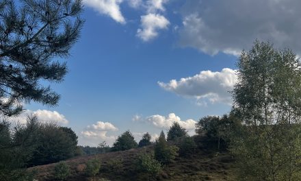 Om te weten hoe de natuur en het klimaat is zoals het is, moet je leren van de geschiedenis