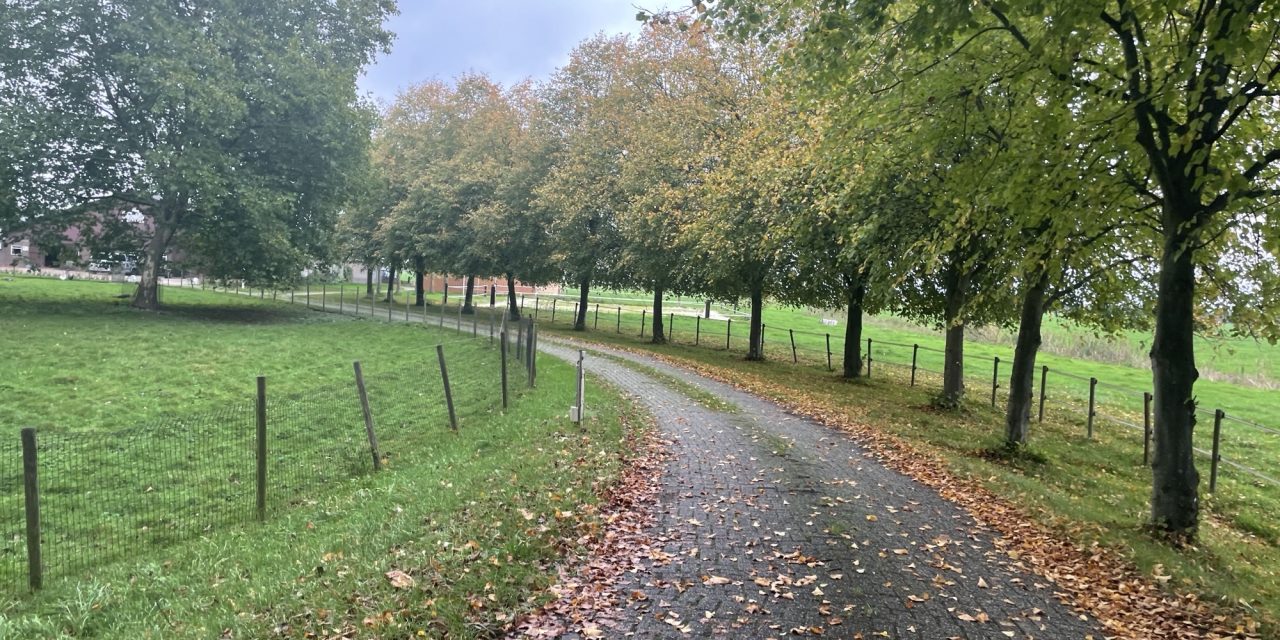 Boswachters roepen politiek op tot natuurbescherming: “Natuur is niet links of rechts”