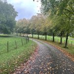 Boswachters roepen politiek op tot natuurbescherming: “Natuur is niet links of rechts”