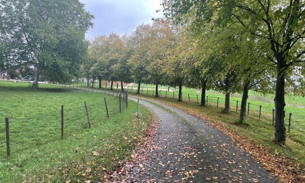 Boswachters roepen politiek op tot natuurbescherming: “Natuur is niet links of rechts”