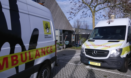 Helden op wielen: de vrijwilligers van de Dierenambulance