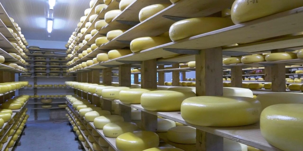Kaaswinkels zijn steeds populairder, maar hoe komt de kaas daar terecht?