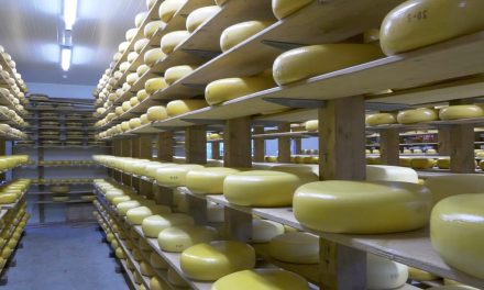 Kaaswinkels zijn steeds populairder, maar hoe komt de kaas daar terecht?