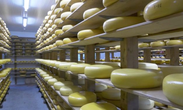 Kaaswinkels zijn steeds populairder, maar hoe komt de kaas daar terecht?