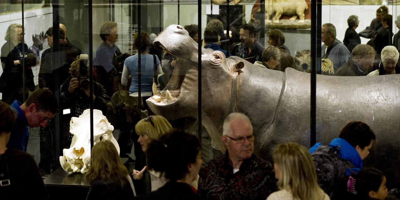 Waarom we dieren blijven opzetten