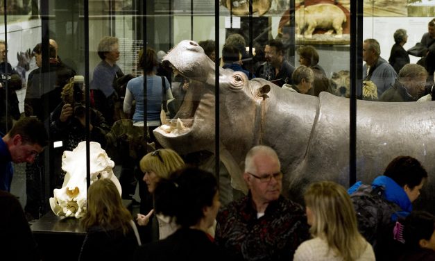 Waarom we dieren blijven opzetten