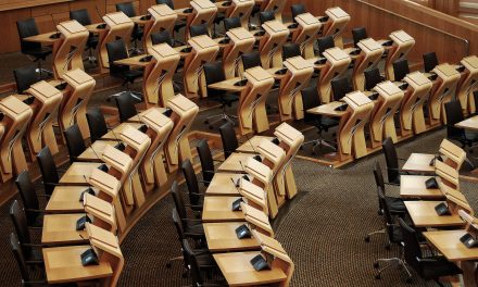 De nieuwe Tweede Kamer: een afspiegeling van de samenleving?