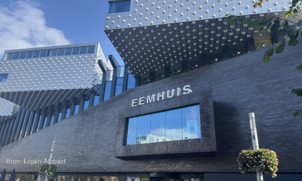 Jongvolwassenen vinden steeds vaker hun plek in de bibliotheek