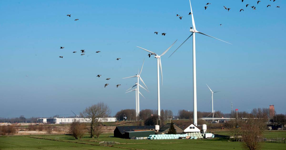 Factcheck: Windturbines zijn niet slecht voor de natuur  
