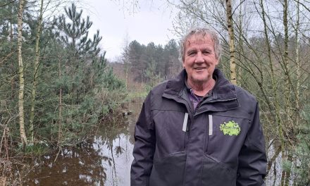 Hevige regenval in Nederland veroorzaakt wateroverlast, maar is fijn voor de natuur