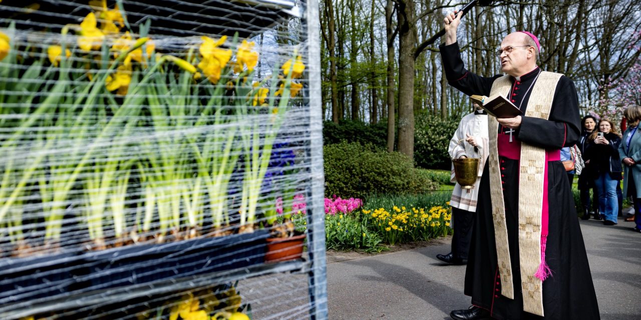 Zegening Nederlandse bloemen voor Urbi et orbi in Vaticaanstad
