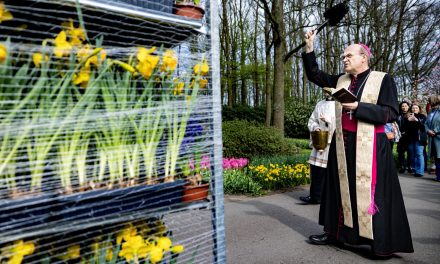 Zegening Nederlandse bloemen voor Urbi et orbi in Vaticaanstad