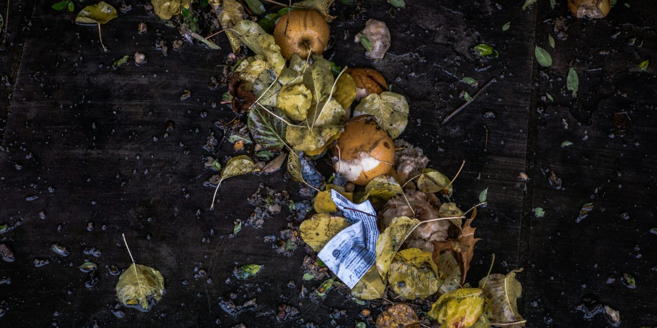 FACTCHECK: Een derde van het wereldwijde voedsel wordt verspild, zonder rekening te houden met verspilling bij boeren.