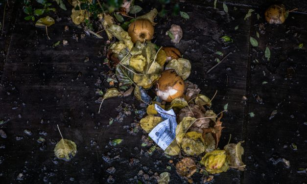 FACTCHECK: Een derde van het wereldwijde voedsel wordt verspild, zonder rekening te houden met verspilling bij boeren.