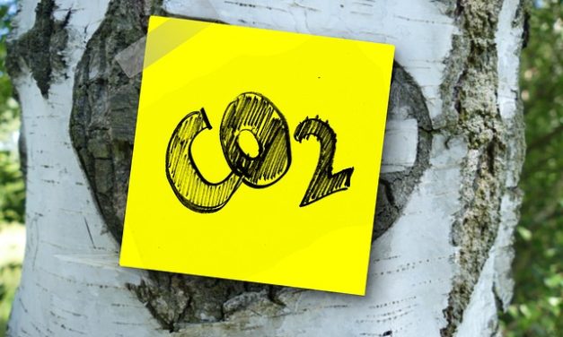 Factcheck: veel CO₂ in de lucht is goed voor planten