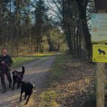 Aanlijnplicht moet conflict tussen wolf en hond beperken