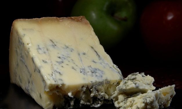 KOKEN OP KLOMPEN: Blauw, wit en vol smaak: de status van schimmelkaas in Nederland